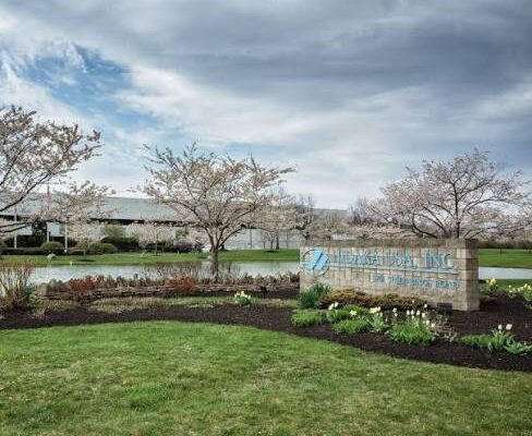 After 37 Years in Dublin, Hidaka USA Is Looking Toward Its Next Chapter